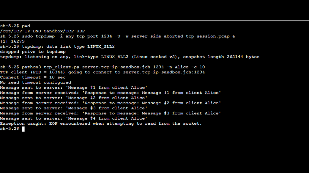 TCP Troubleshooting Deep Dive, Part 4: Connection Reset by Peer Error ...